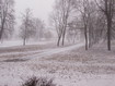 Весна. 12.03.19 Весна. 12.03.19